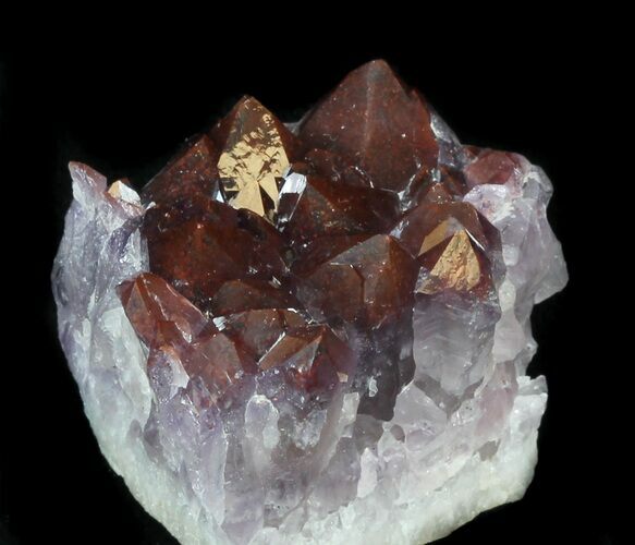 Thunder Bay Amethyst Cluster With Hematite #34016